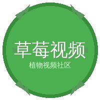 草莓视频
